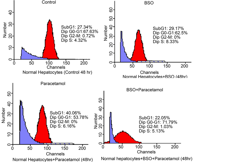 Combination of Paracetamol and the Glutathione Depleting Agent