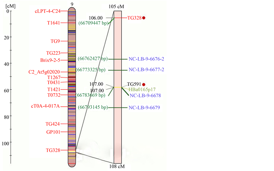 conferring,consequent molecular markers associated with ph-3 gene conferring late