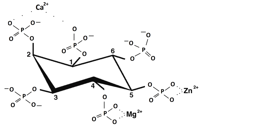 figure    phytate complex with bivalent metal cations.