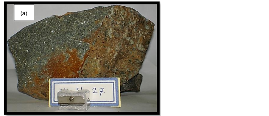 petrology of the plutonic rocks at the xiv iron-oxide prospect