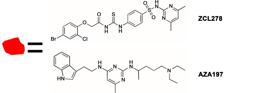 Two Small Molecules, ZCL278 and AZA197 Show Promise in