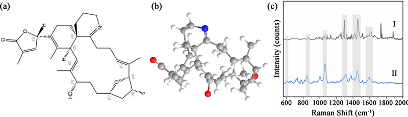 Response Surface Methodology-Based SERS for Determination of
