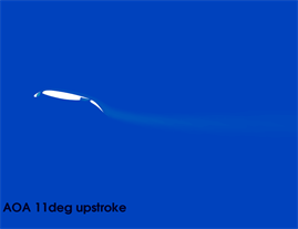 Dynamic Stall on High-Lift Airfoil 30P30N in Ground Proximity