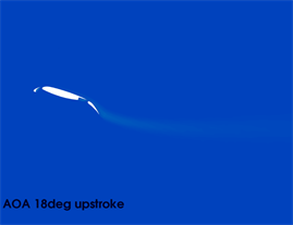 Dynamic Stall on High-Lift Airfoil 30P30N in Ground Proximity