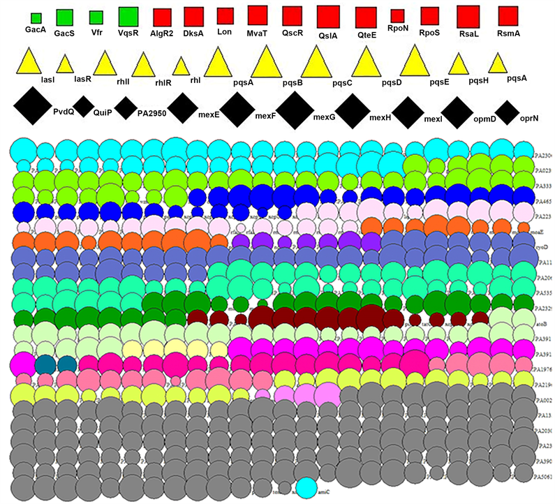 Building quantitative gene regulatory mechanism in quorum sensing in