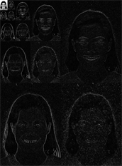 An Ensemble of Convolutional Neural Networks Using Wavelets for Image ...