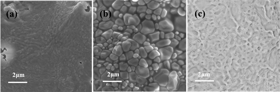 Oxidation Performance of Ytterbium Disilicate/Silicon Environmental ...