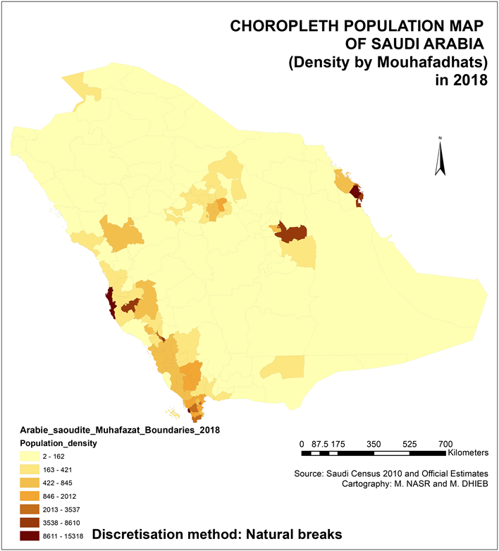 A Bivariate Dasymetric Population Map of Saudi Arabia