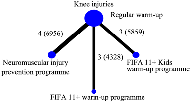Injury Prevention (Fifa 11+)