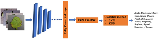 Plant Disease Detection with Deep Learning and Feature Extraction Using ...