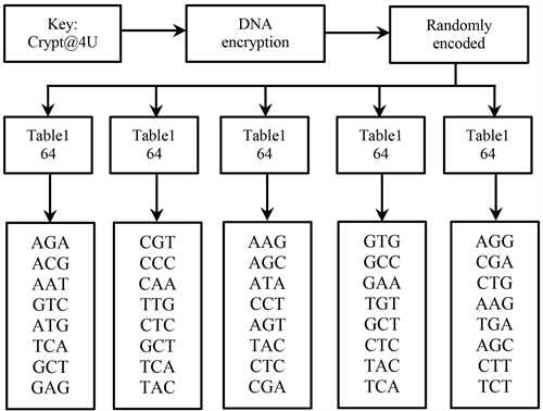 A Novel Hybrid Encryption Method Based on Honey Encryption and Advanced ...