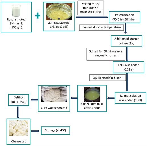 Effect of Garlic Paste on the Physicochemical Attributes of Cheese