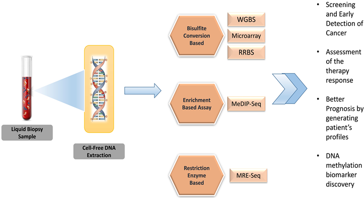 Frontiers  Deoxyribonucleic Acid 5-Hydroxymethylation in Cell-Free  Deoxyribonucleic Acid, a Novel Cancer Biomarker in the Era of Precision  Medicine