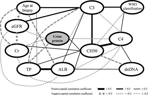 long-term outcome of 102 cases of lupus nephritis: a single