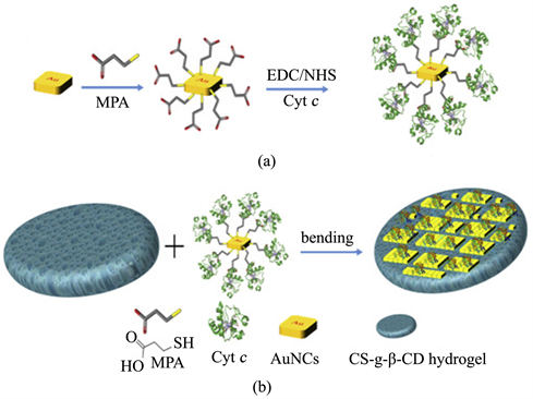 Advances in Cyclodextrin-Capped Gold Nanoparticles