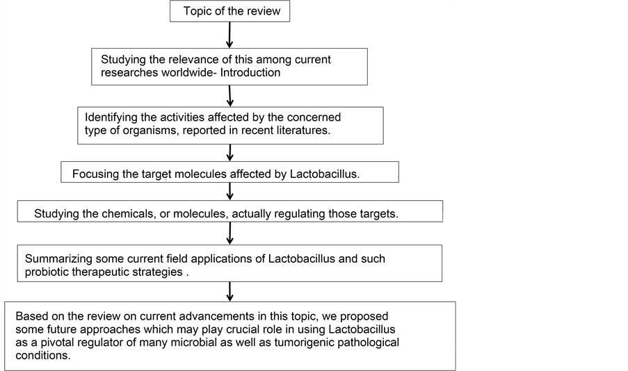 Lactobacillus Identification Chart