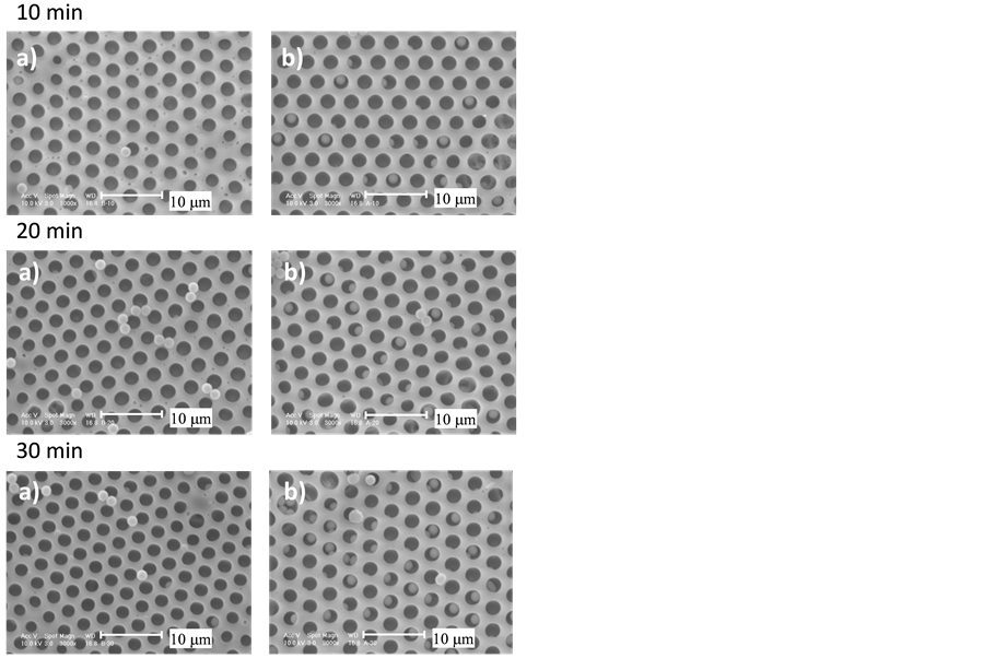 Fabrication of Microporous Film and Microspheres Hybrids