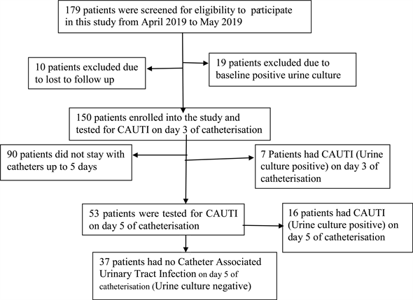 urine catheterized catheter urinary incidence etiology