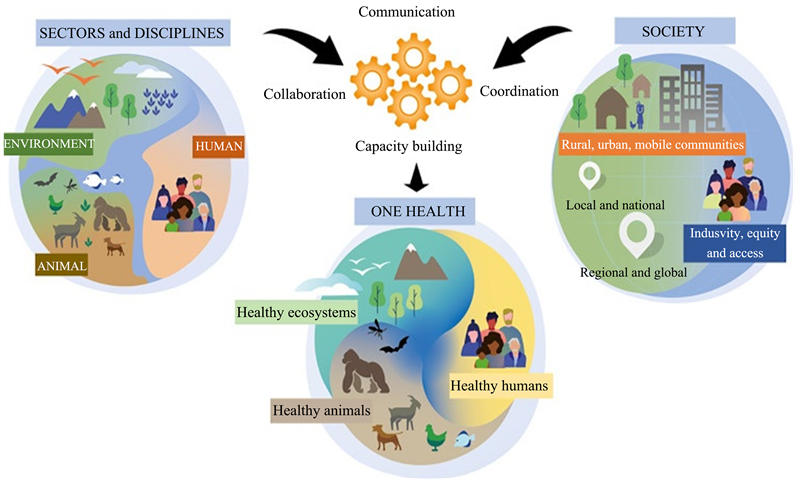 Global Strategies to Combat Antimicrobial Resistance: A One Health Perspective