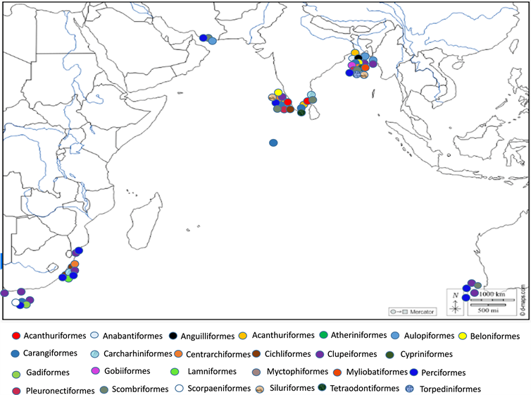 Microplastic in the Marine Environment of the Indian Ocean