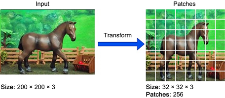 Image Classification Based on Vision Transformer