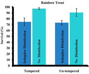 Thermal Tempering Does Not Increase the Survival of Eyed Salmonid Eggs