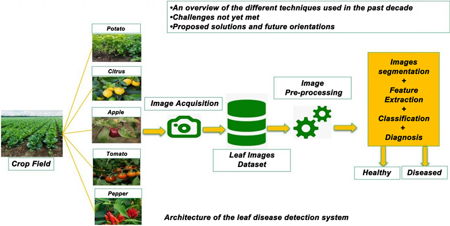 Relevance of Advanced Plant Disease Detection Techniques in Disease and Circuit Diagram