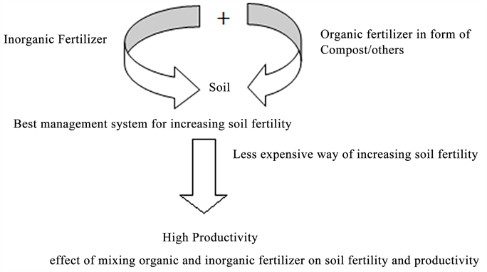literature review on organic and inorganic fertilizer
