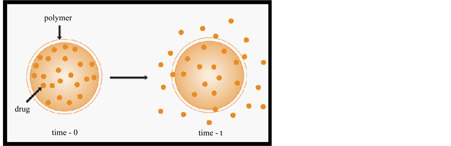 Polymers In Drug Delivery