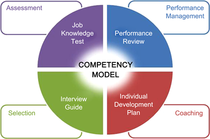 Teacher competences. Competence model. Competence of teachers. Competency Management System. Competency model դիռեցտօռ.
