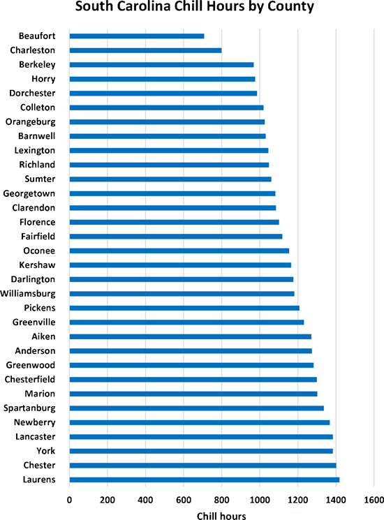 CountySpecific Chill Hours Accumulation in South Carolina