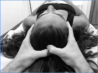 健康・医学 Trauma: An Osteopathic Approach Amazon | Trauma: An Osteopathic Approach | Barral, Jean